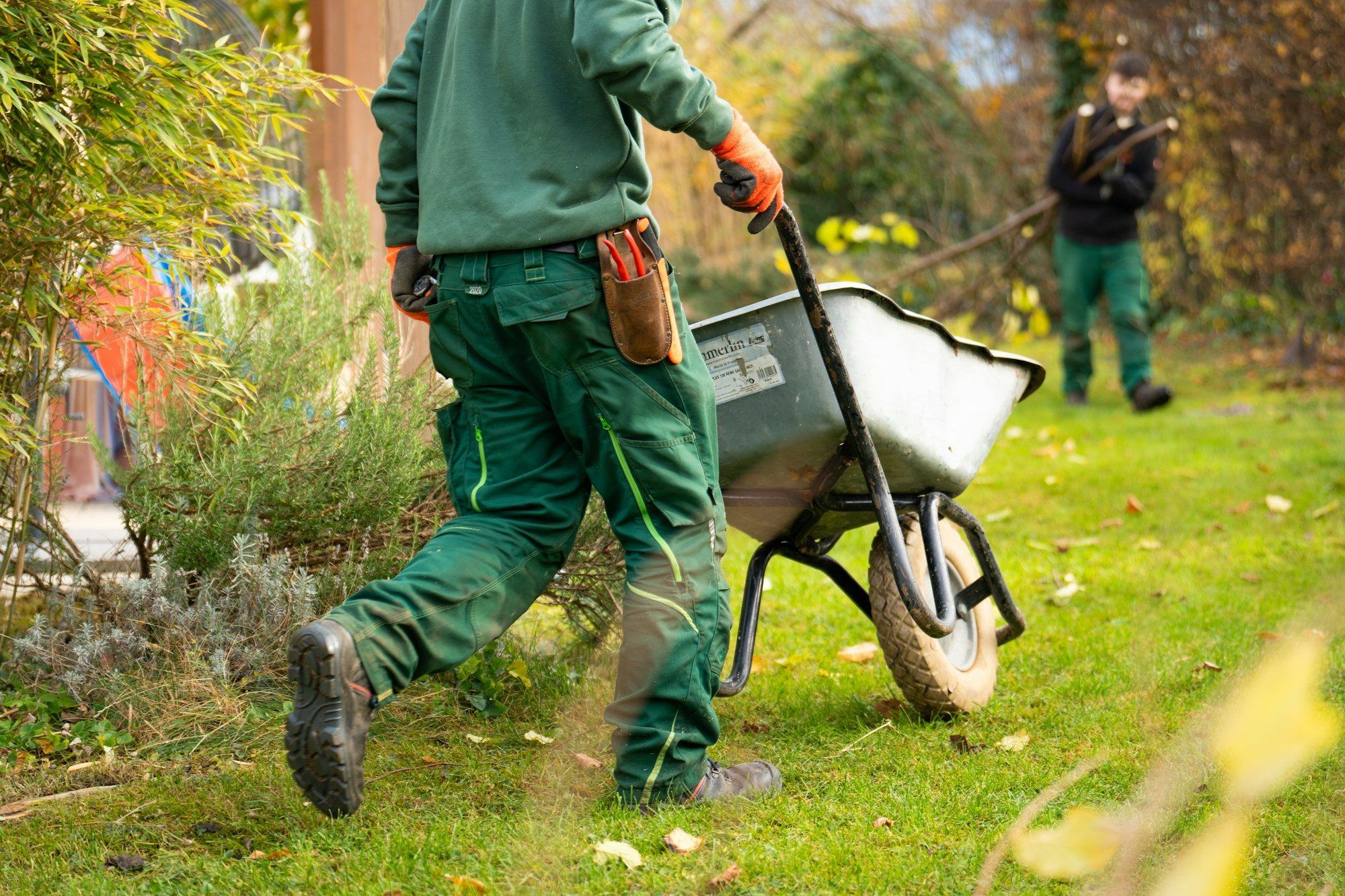Jardinier poussant une brouette sur une pelouse bordée de massifs